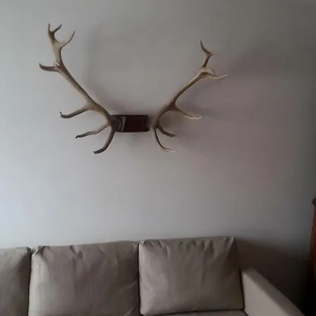 Relax * سيستريير